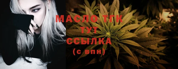 гашик Каменка