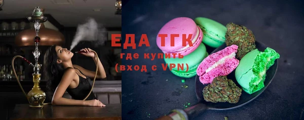 гашик Каменка