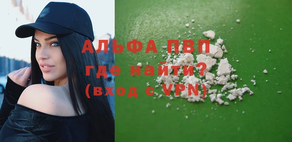 гашик Каменка
