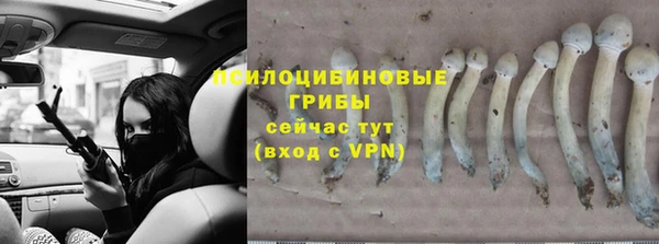 хмурый Каменск-Шахтинский