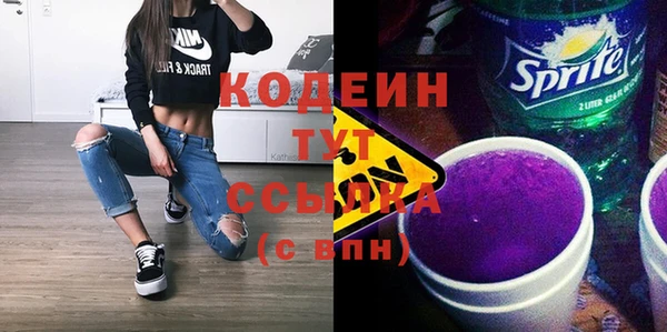 гашик Каменка