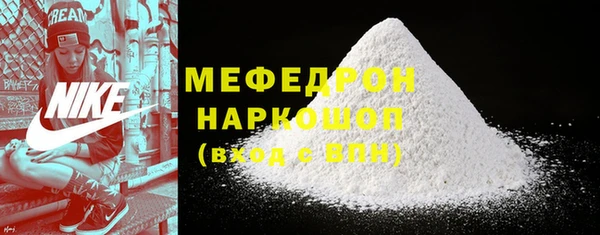 гашик Каменка