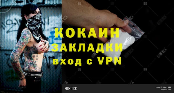 гашик Каменка