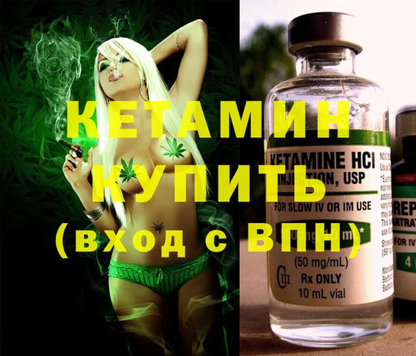 гашик Каменка