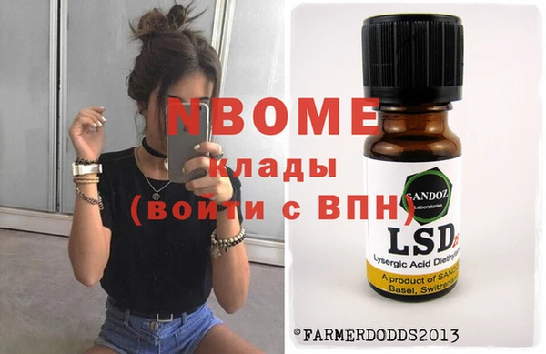 гашик Каменка