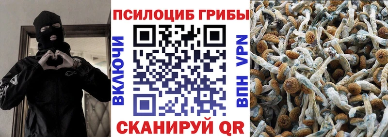 закладки  KRAKEN сайт  Галлюциногенные грибы ЛСД  Новосиль 